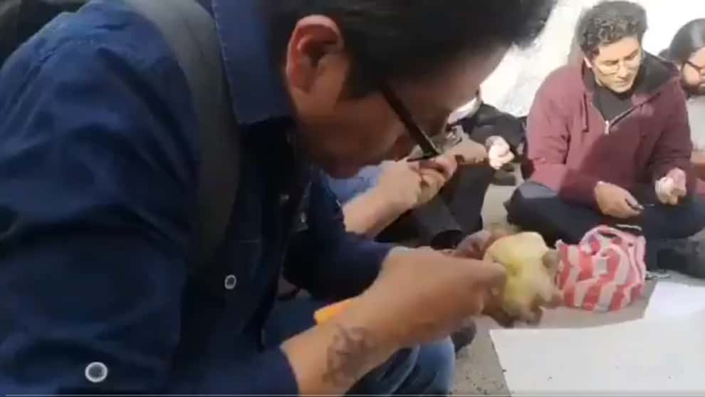 Protesta antimachismo en Bolívia /@Maraalm_(Twitter)