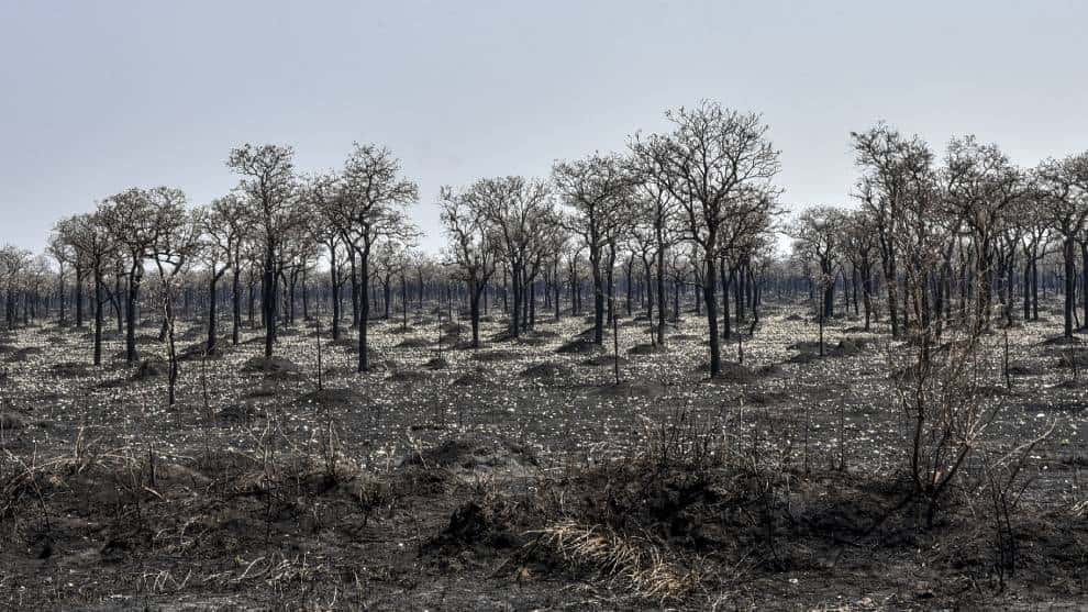 Decretan estado de desastre en Bolivia por incendios y sequías