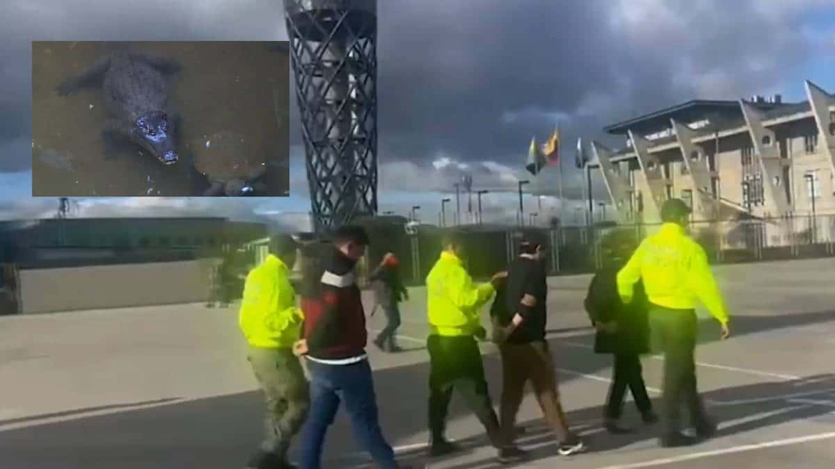 Nancy González, diseñadora detenida por tráfico de especies