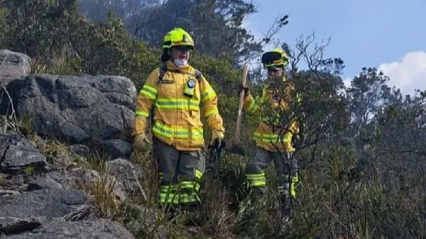 "Cualquier botella de vidrio podría generar un incendio": secretaria de Ambiente de Bogotá