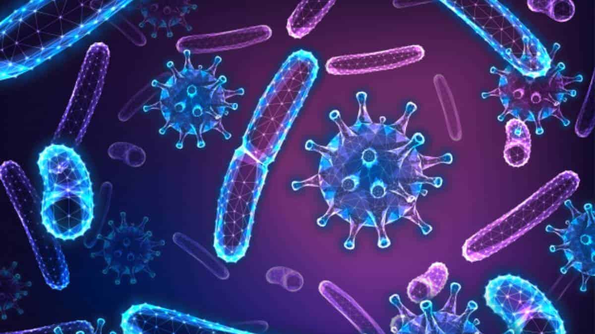 Qué es la brucelosis, la enfermedad que se fugó de un laboratorio chino