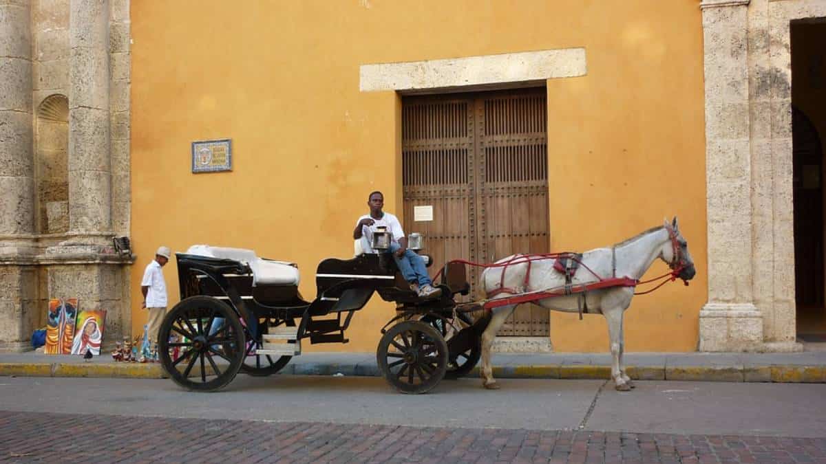 Funcionarias de Cartagena irán a juicio por muerte de 12 caballos