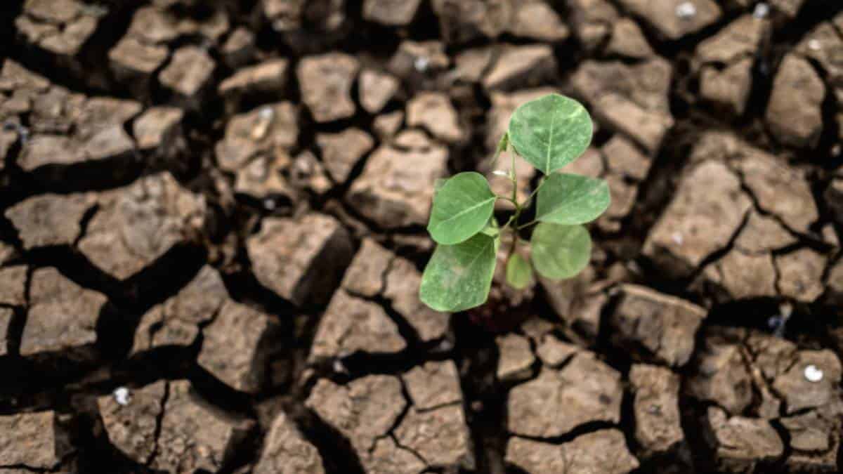 Los costos que dejan los peores desastres climáticos de este 2020