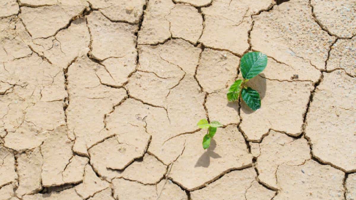El cambio climático, un problema para la economía y la sociedad