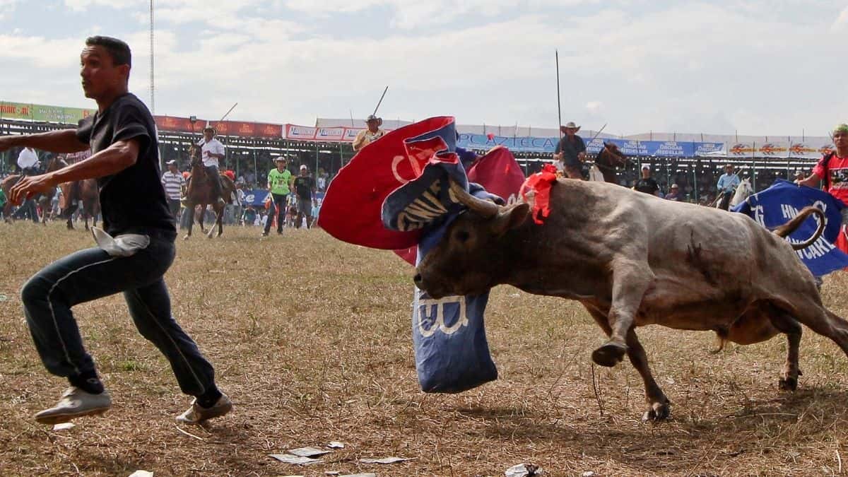 Por Ómicron cancelan fiestas de corralejas en Planeta Rica en Córdoba