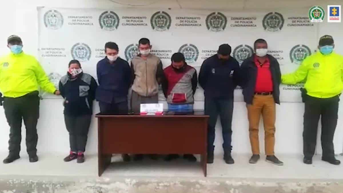 A prisión miembros de banda dedicada a hurtar ganado en Zipaquirá