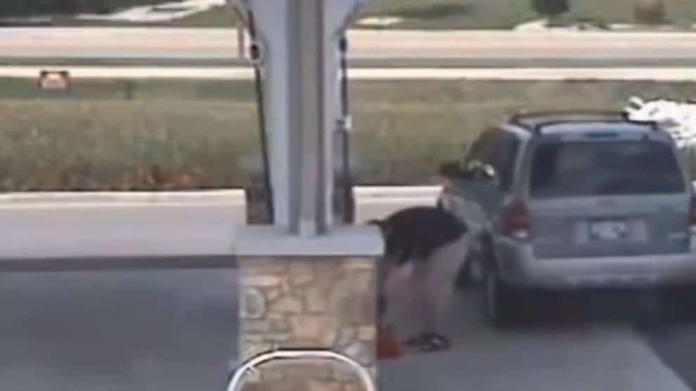 Video: Se distrajo un momento y su camioneta ya no estaba