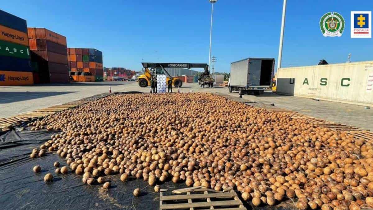 Cargamento de cocos en Cartagena fue encontrado con cocaína líquida