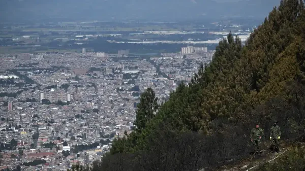 Estos son los animales que viven en los cerros orientales de Bogotá, así se puede ayudarlos