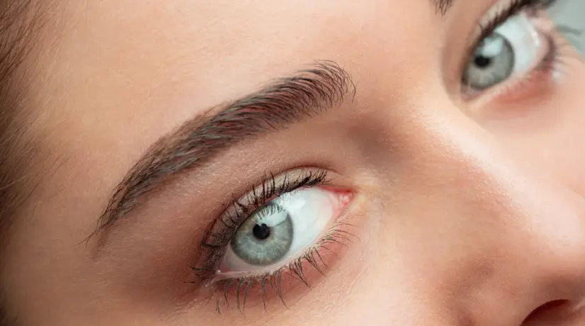¿Desea hacer crecer sus pestañas y cejas naturalmente? Tome nota los mejores trucos