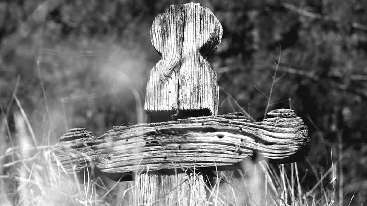 JEP dicta medidas para proteger más de 400 cuerpos en cementerio de Puerto Berrío