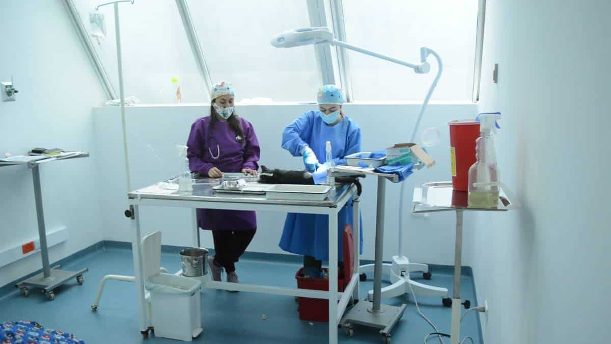 Inauguran centro de esterilización para mascotas en Engativá