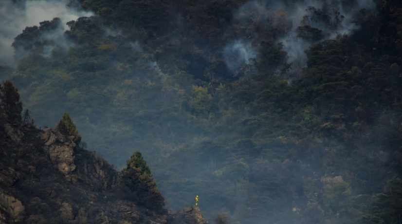 Incendio en cerro El Cable está controlado, confirmó el alcalde Galán; una botella originó las llamas