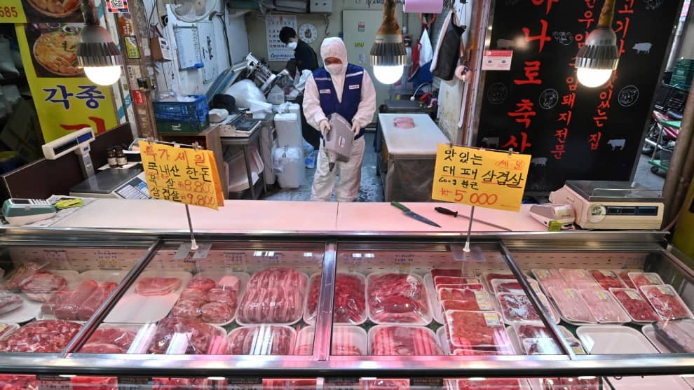 China prohíbe el comercio y consumo de animales salvajes