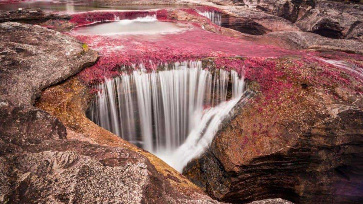Cierran ingreso a Caño Cristales por temporada seca en la región