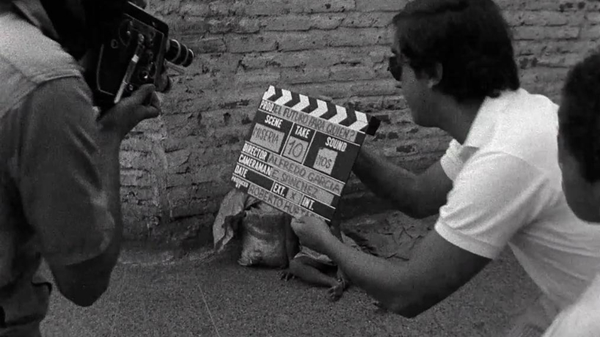 Santa Marta recibirá el Festival de Cine de Cajas de Compensación Santa Marta recibirá el Festival de Cine de Cajas de Compensación