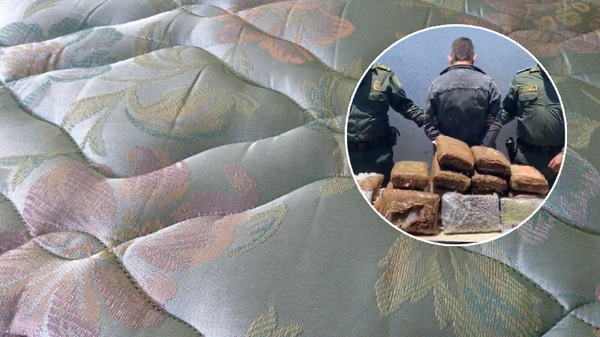 Escondió 21 kilos de marihuana en un colchón, lo cargó por la calle en Ibagué y un perro lo delató Escondió 21 kilos de marihuana en un colchón, lo cargó por la calle en Ibagué y un perro lo delató