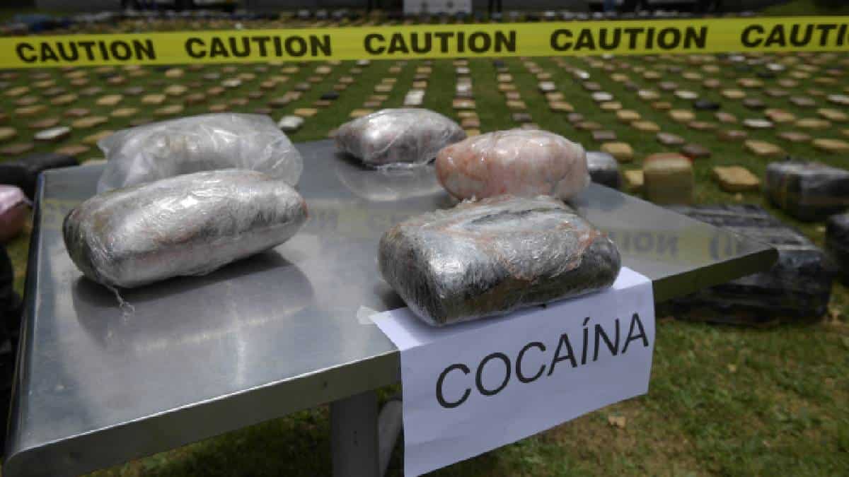116 toneladas de cocaína fueron decomisadas en operaciones militares conjuntas