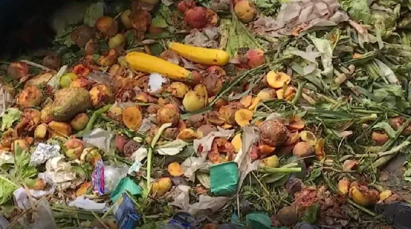 Miles de toneladas de comida se desperdician cada año en el mundo. / Foto: Noticias RCN Miles de toneladas de comida se desperdician cada año en el mundo.