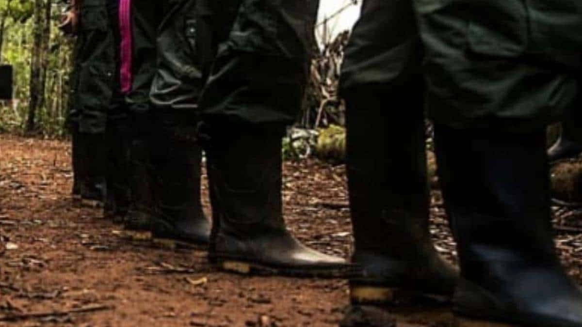 Regiones de Colombia en las que habrá cese unilateral al fuego