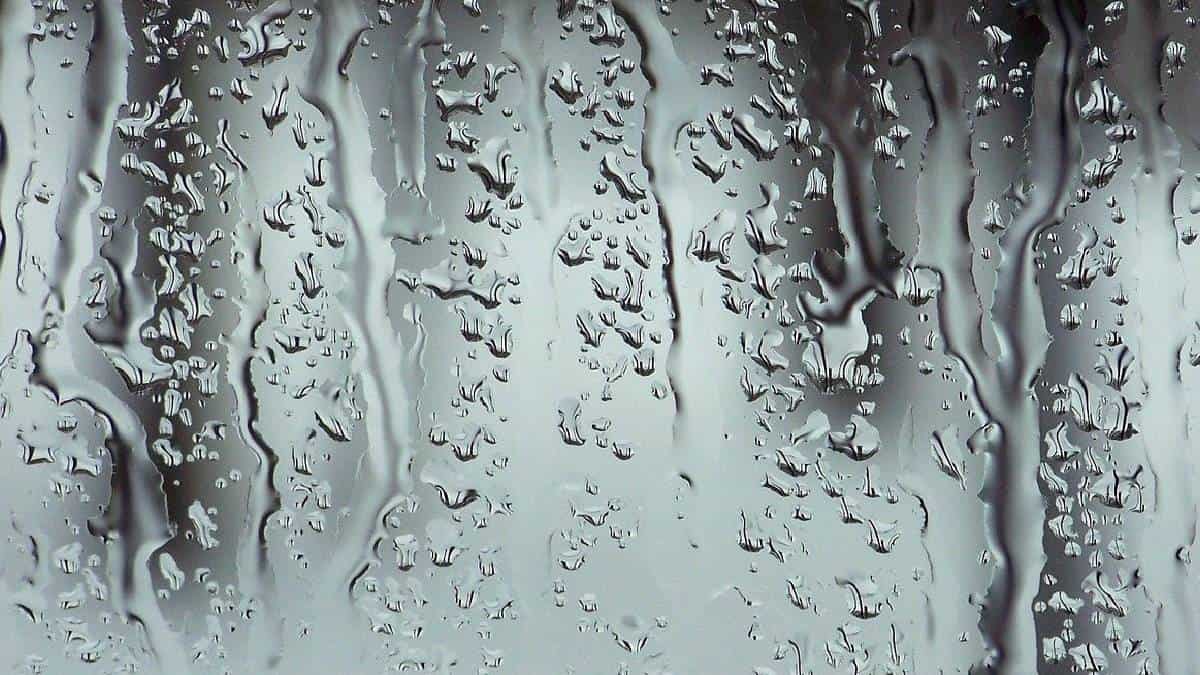 Congresista se duchó mientras asistió a sesión virtual y pidió disculpas por ello