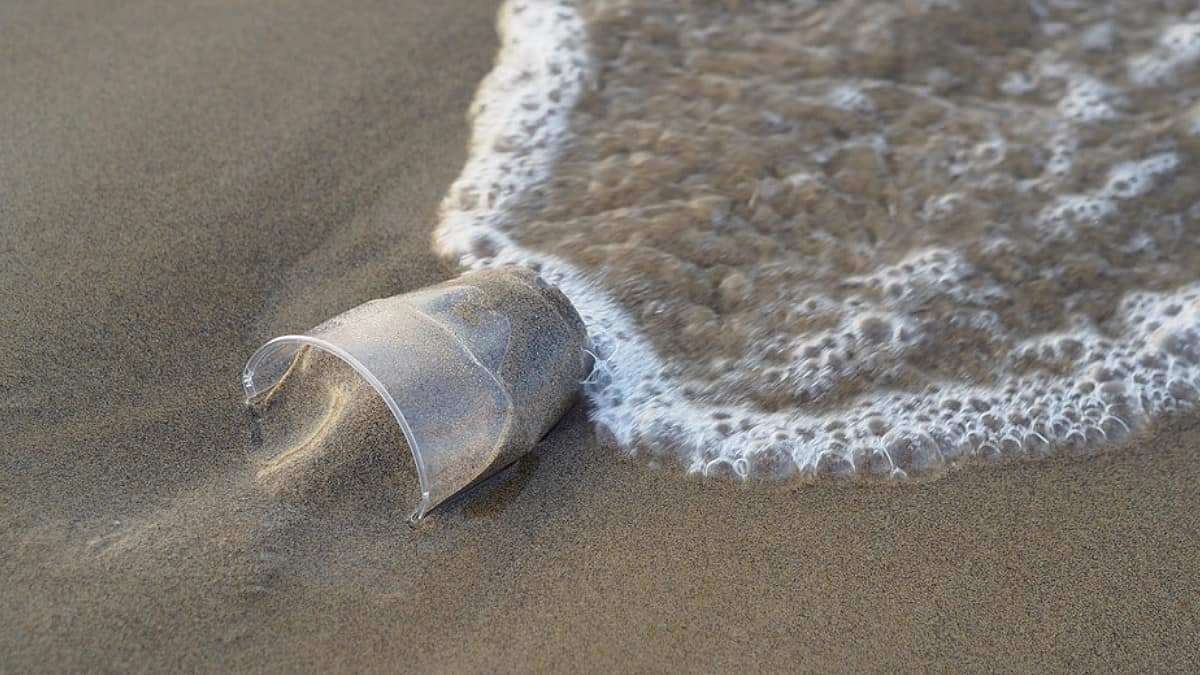Foto: Referencia - Pixabay Contaminación en el mar