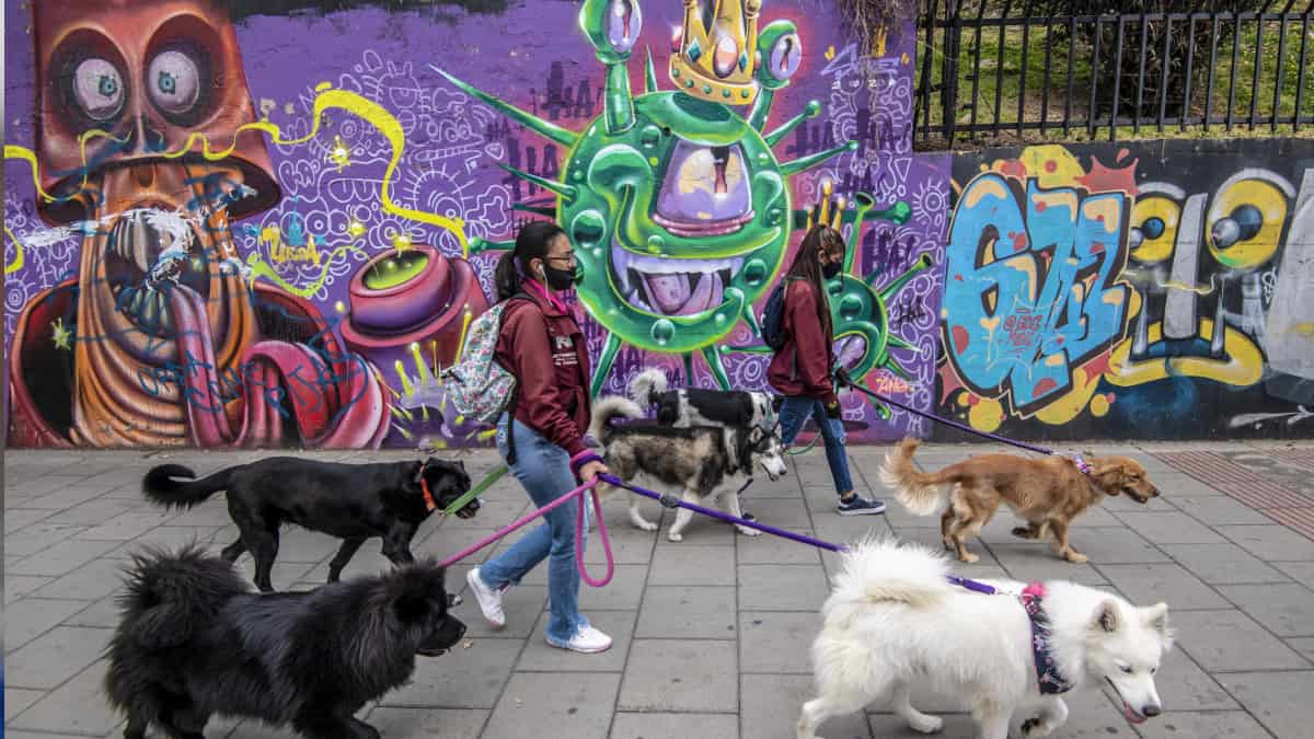 Las personas que estará exentas de la cuarentena en Bogotá