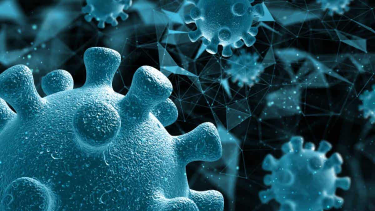 Lo más probable es que el covid se convierta en un virus endémico: OMS