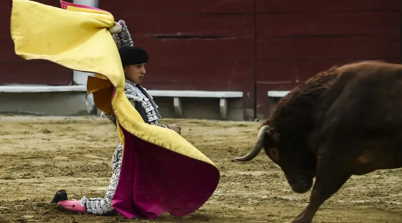Gobierno ordenó prohibición actividades taurinas en Cali