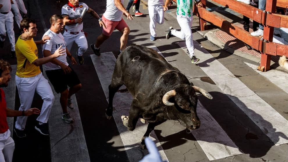 corrida de toros