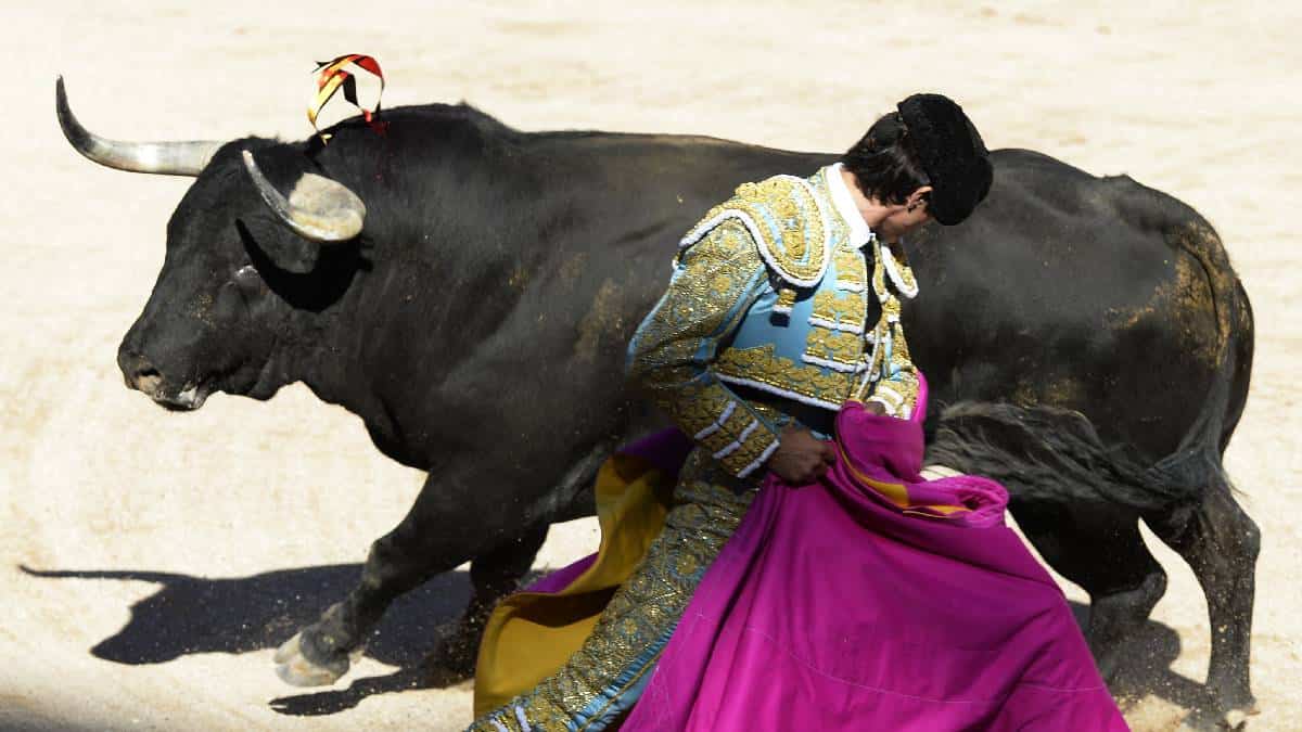 Ciudadanos partidarios de poner fin a corridas de toros en Frnacia