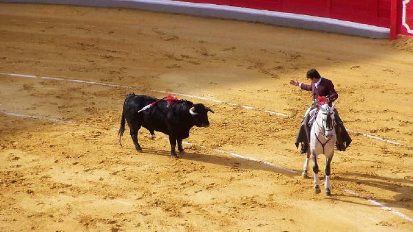Corte Constitucional dejó en firme la ley que prohibió las corridas de toros en Colombia