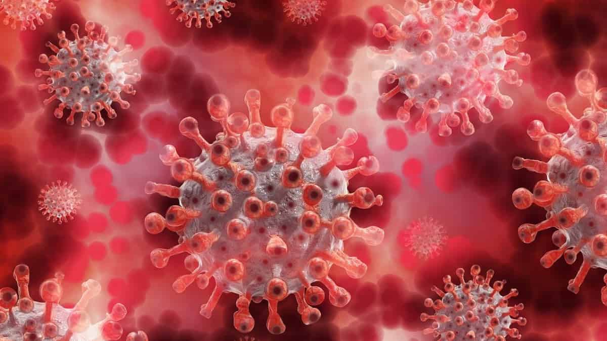 Luego de dos años, OMS asegura que alertó con anticipación sobre la pandemia del covid-19