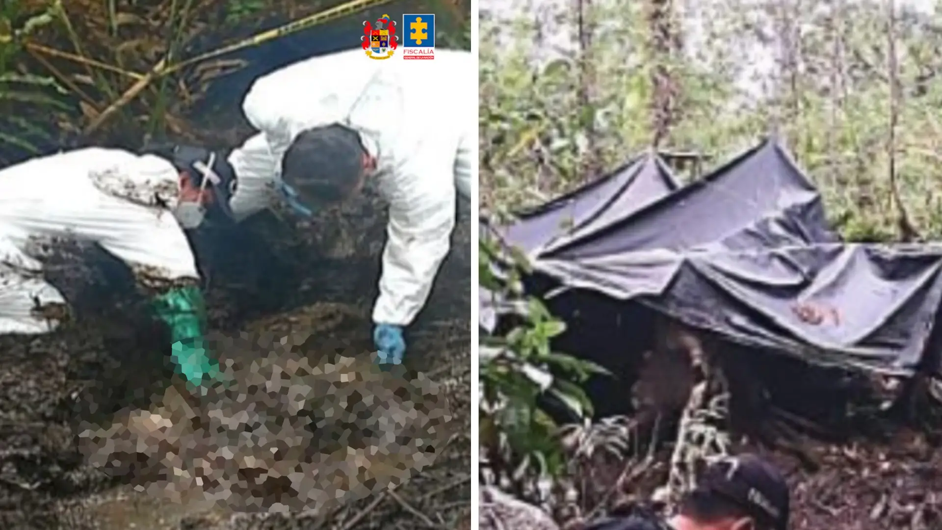 Crimen de los hermanos Palomino, ejecutados tras pagar millonario rescate a disidencias