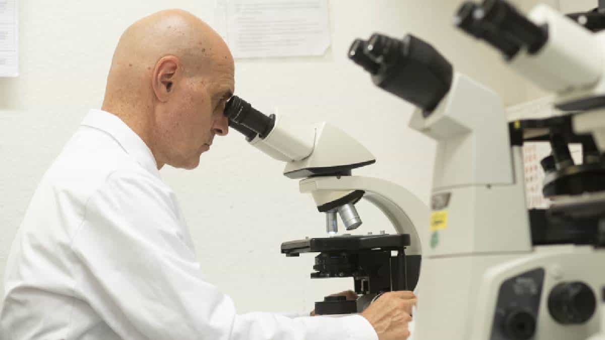 La vacuna Curevac 19 inicia su última fase de ensayos clínicos