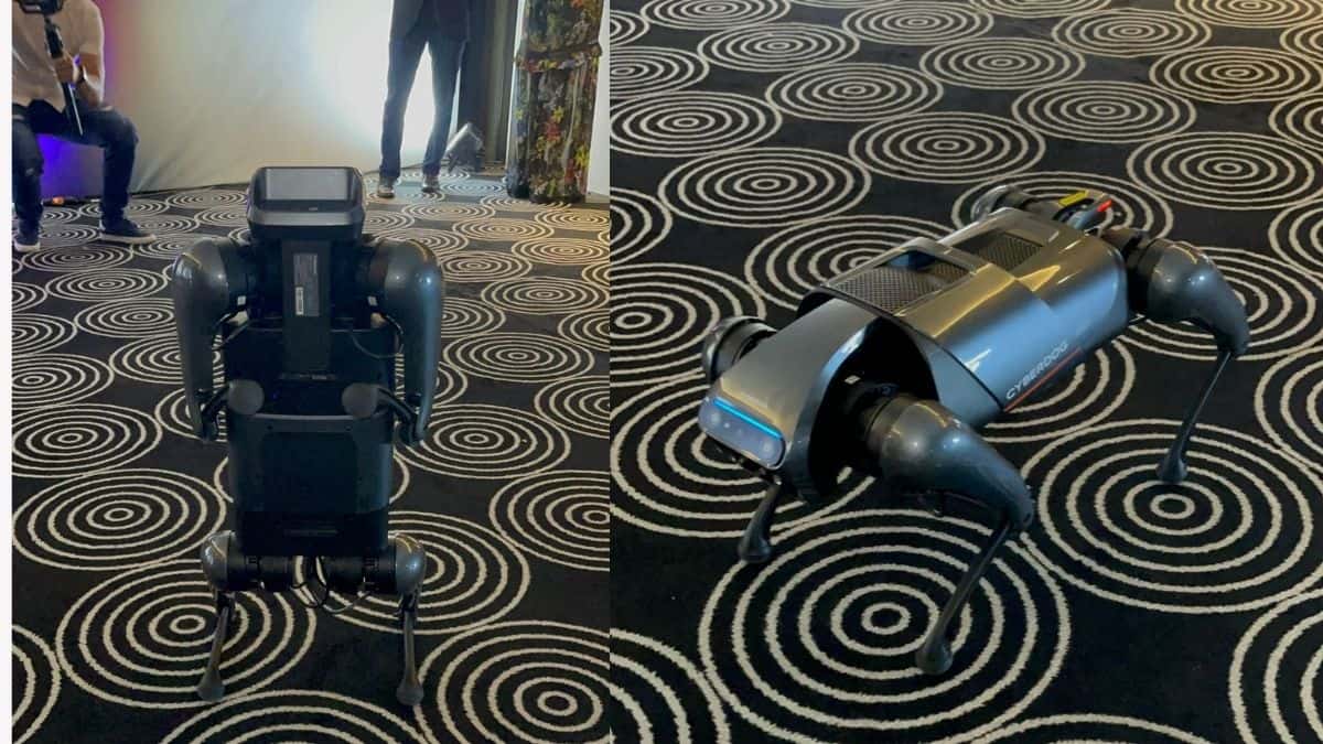 El cyberdog que visitó Colombia para mostrar sus avances