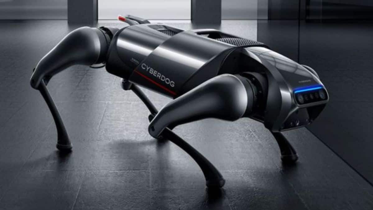 El nuevo ciber-perro capaz de seguir a su dueño y escanear personas