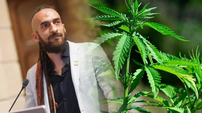 Daniel Carvalho sobre regularización de la marihuana: "Esta vez sí hay posibilidades"