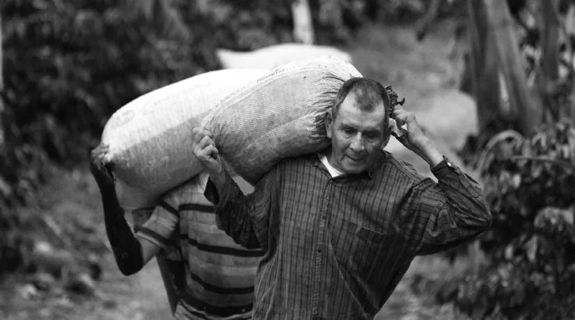 Decreto promueve movilización campesina: Minagricultura