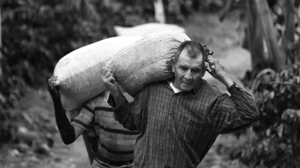 Alistan polémico decreto para promover movilización campesina y comités que defiendan la reforma agraria