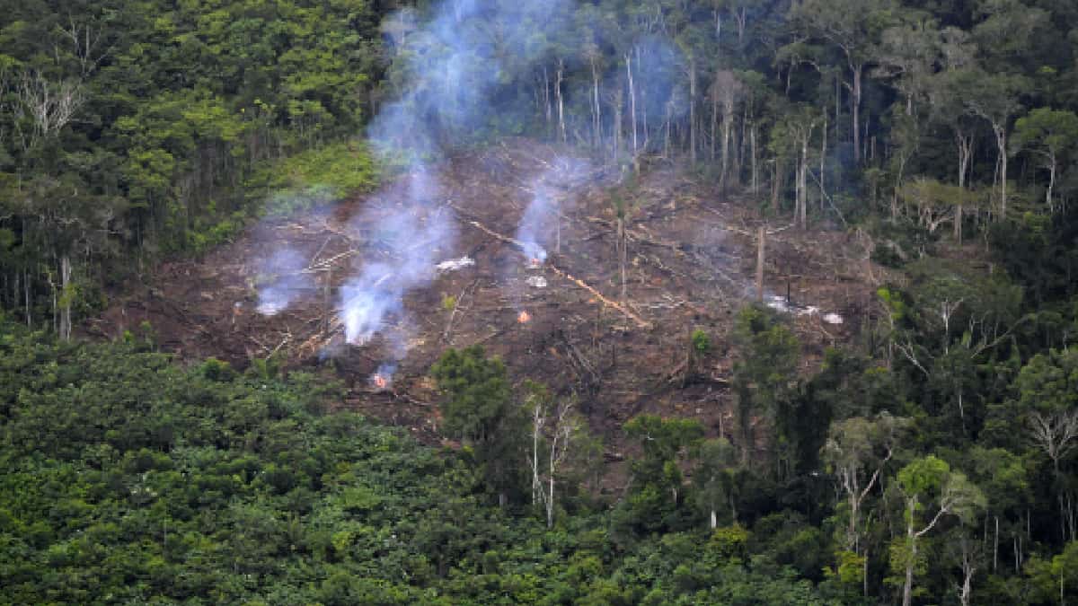 Deforestación en la Amazonía
