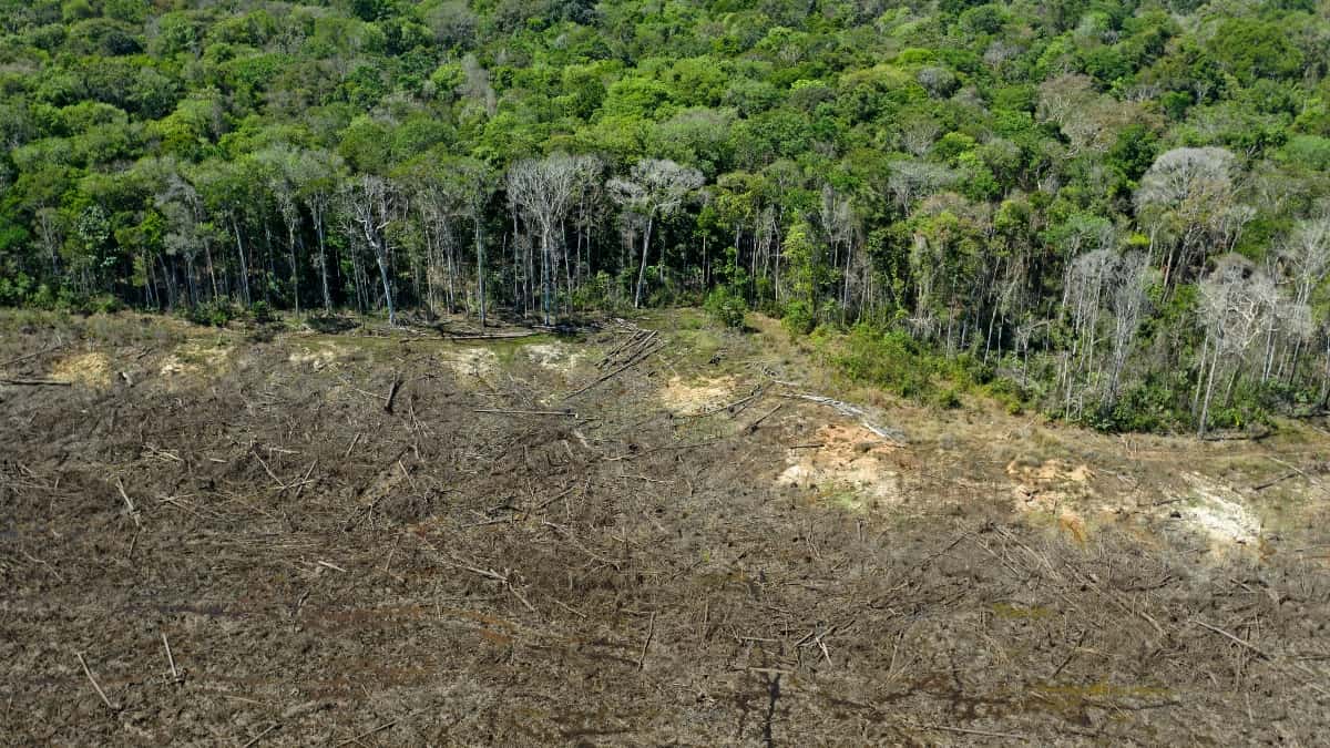Brasil registra deforestación récord en la Amazonía en últimos 15 años
