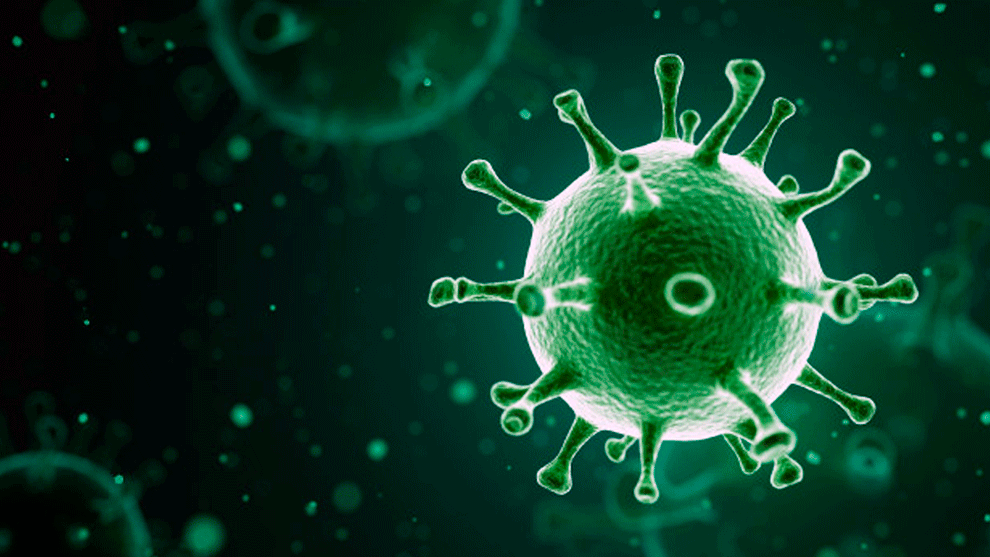 gen oculto de covid-19