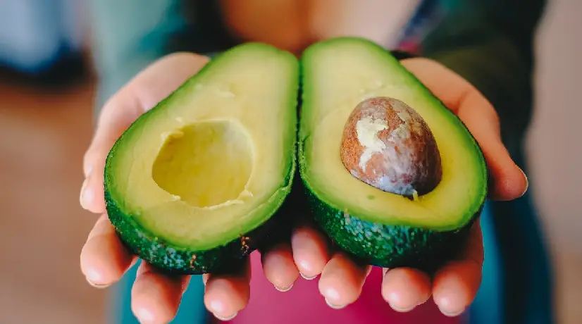 Aguacate