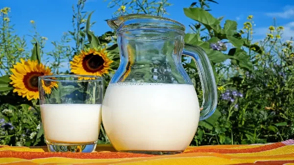 Leche de Almendra, Leche de Soya y Leche de Avena: ¿Cuál es la mejor?