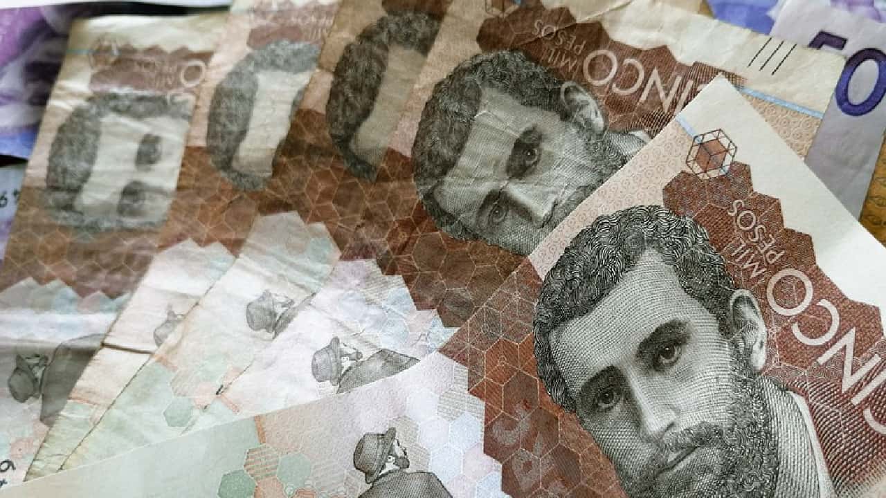 ¿Cómo acceder a subsidios para jóvenes 'nini' en Bogotá?