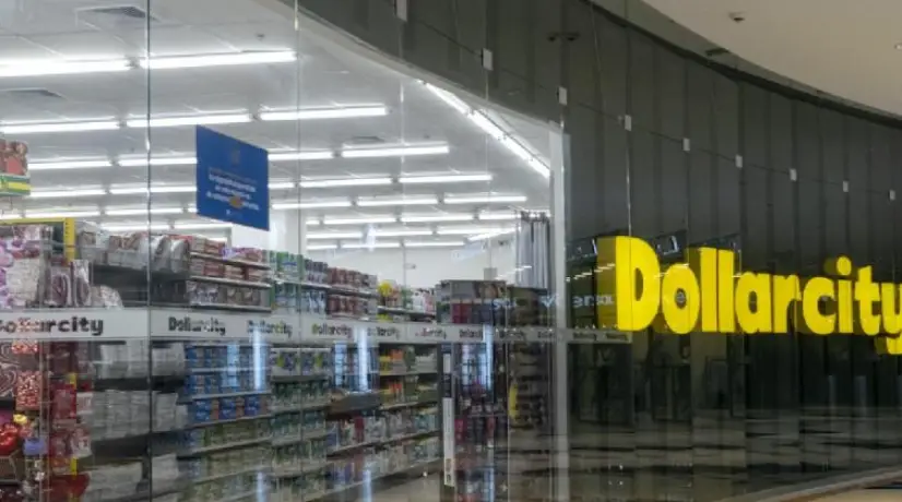 Influencer reveló los productos más económicos y atractivos del DollarCity