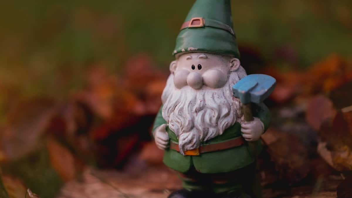 Joven secuestró a un enano porque creyó que era duende