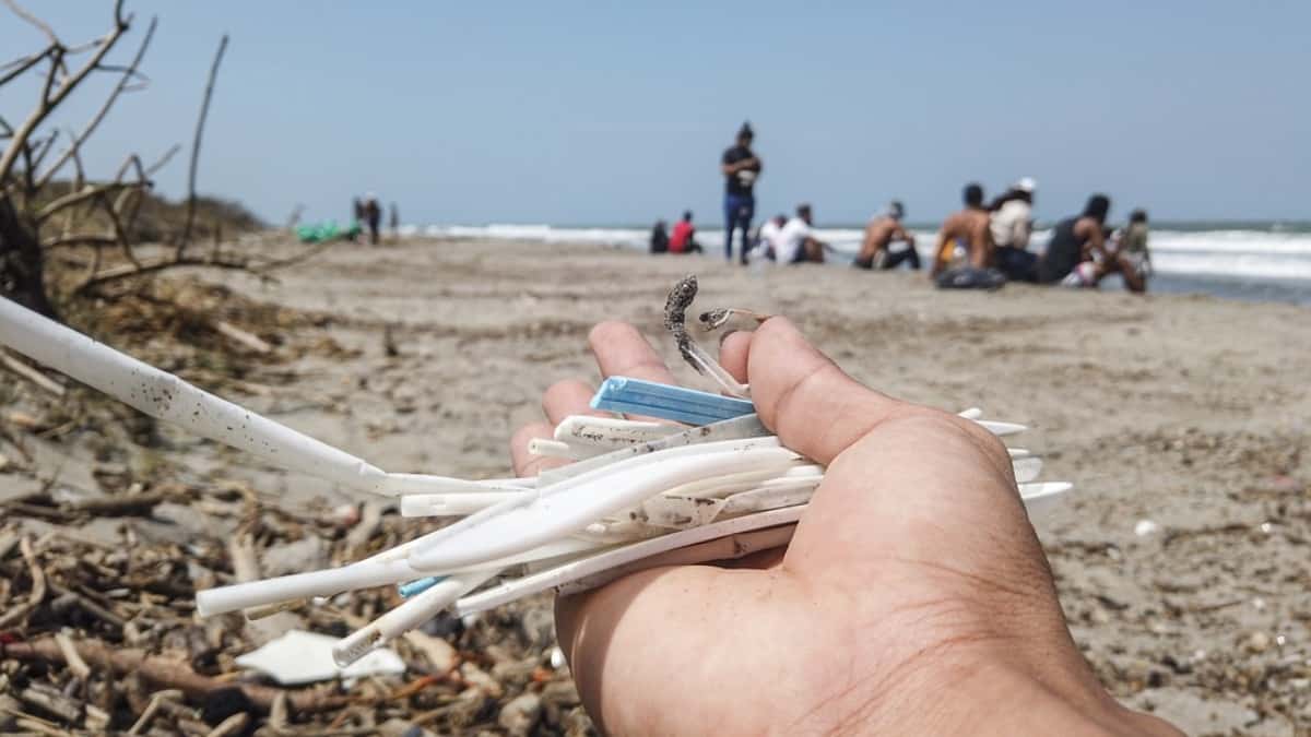 Beneficios de usar productos ecoamigables en el hogar