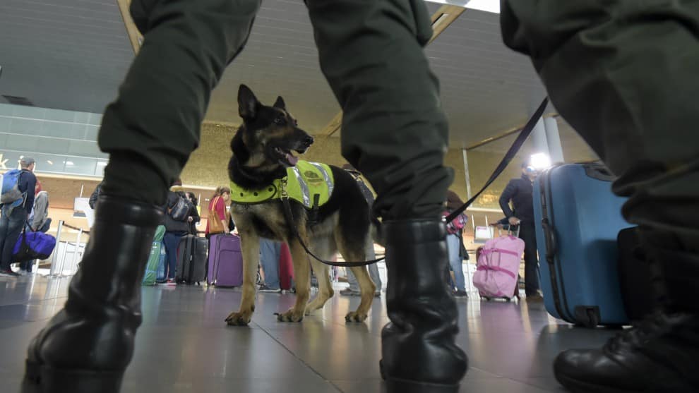 Piden revocar aval de candidato acusado de transportar cocaína a Alemania